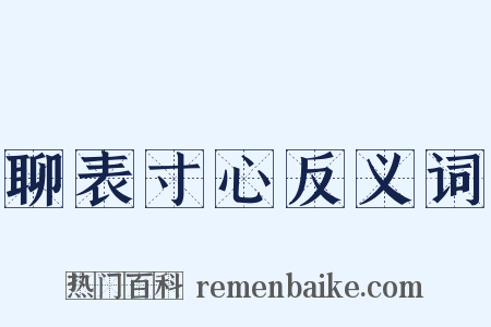 聊表寸心反义词是什么意思的图片
